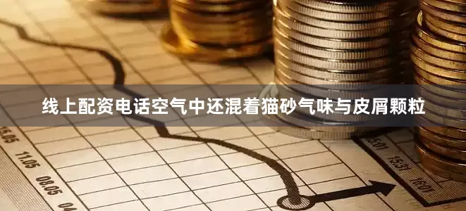 线上配资电话空气中还混着猫砂气味与皮屑颗粒