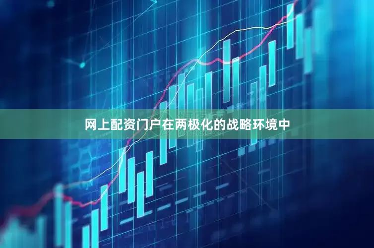 网上配资门户在两极化的战略环境中