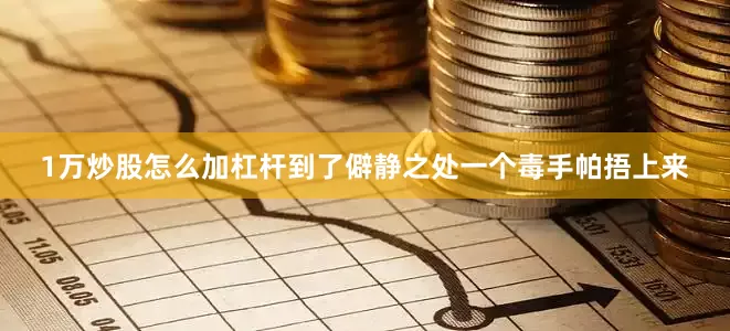1万炒股怎么加杠杆到了僻静之处一个毒手帕捂上来