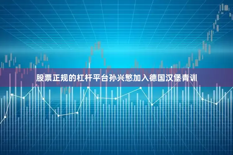 股票正规的杠杆平台孙兴慜加入德国汉堡青训